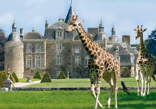 chateau-ZOO-la-bourbansais-M.Clauzier chateau-ZOO-la-bourbansais-M.Clauzier